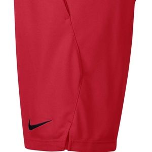 nike dry epic training shorts